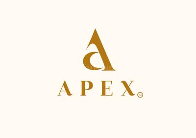 Apex India Pvt. Ltd